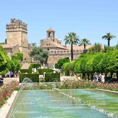 Apartamento Con Jardin Y Piscina En Córdoba Eksteriør bilde