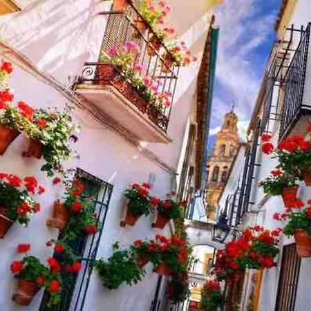 Apartamento Con Jardin Y Piscina En Córdoba Eksteriør bilde