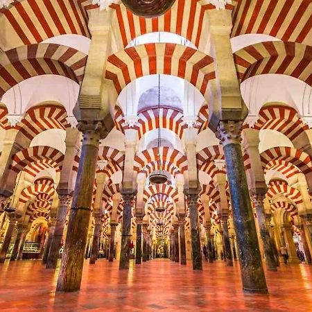 Apartamento Con Jardin Y Piscina En Córdoba Eksteriør bilde